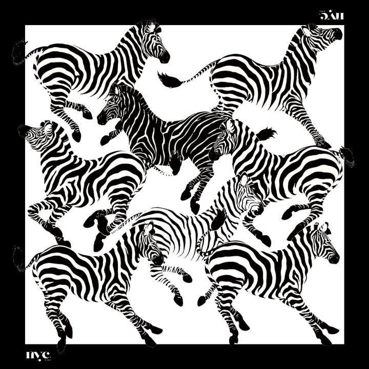 zebra scarf